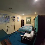 Neighbor Of Frida Khalo, Vintage Stay In Coyoacan