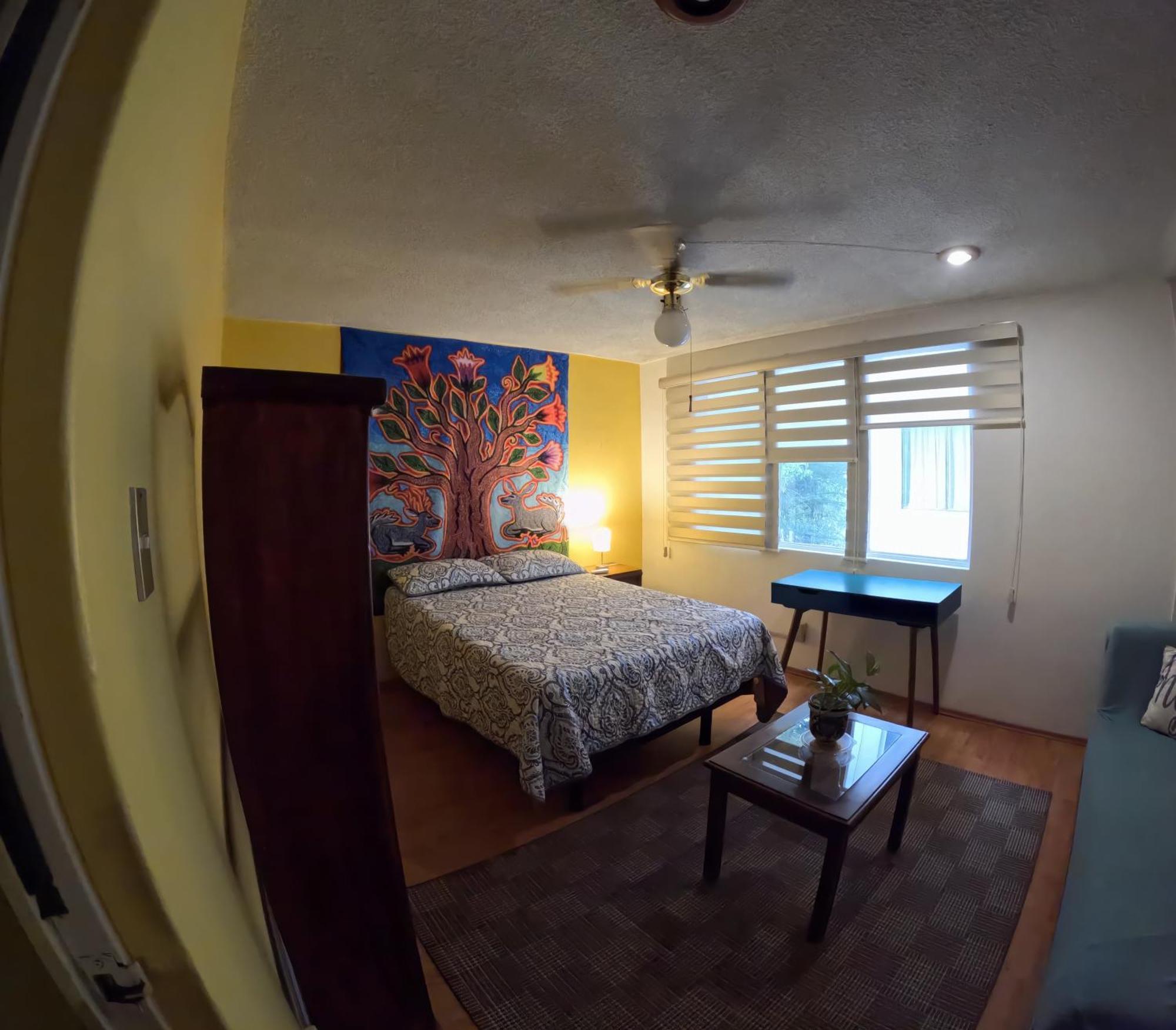 Neighbor Of Frida Khalo, Vintage In Coyoacan Apartment